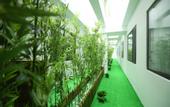 Туры в отель Homeinn Plus Hotel (Changchun Exhibition Center Century Square)