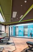 Туры в отель Mercure Hotel