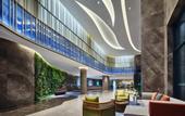 Туры в отель Holiday Inn XINING HOT-SPRING by IHG
