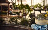 Туры в отель Holiday Inn XINING HOT-SPRING by IHG