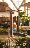 Туры в отель Holiday Inn XINING HOT-SPRING by IHG