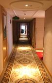 Туры в отель Vienna Hotel Emei Mountain high-speed railway station Maluqiao Street