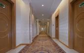 Туры в отель vidona  hotel