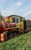 Туры в отель Youbang Garden Hotel