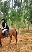 Туры в отель Youbang Garden Hotel