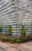 Туры в отель Youbang Garden Hotel