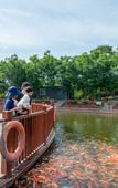 Туры в отель Youbang Garden Hotel