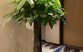 Туры в отель Light Stay Hotel (Jinan Jiyang Bus Terminal Branch)