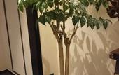 Туры в отель Light Stay Hotel (Jinan Jiyang Bus Terminal Branch)