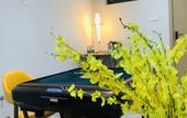 Туры в отель Mango Crystal Hotel(Haikou Meilan Airport)
