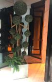 Туры в отель Xiaduo Hotel (Qingxiu Wanda Nanhu Park)