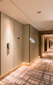 Туры в отель Crowne Plaza WUZHEN by IHG