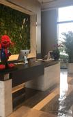Туры в отель Shangri-La Hotel, Zhoushan
