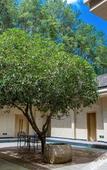 Туры в отель Tianmashan Forest Hotspring & Resort