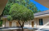Туры в отель Tianmashan Forest Hotspring & Resort