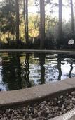 Туры в отель Tianmashan Forest Hotspring & Resort