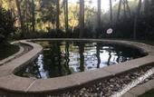 Туры в отель Tianmashan Forest Hotspring & Resort