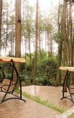 Туры в отель Tianmashan Forest Hotspring & Resort