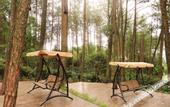 Туры в отель Tianmashan Forest Hotspring & Resort