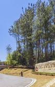 Туры в отель Tianmashan Forest Hotspring & Resort