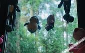 Туры в отель Tianmashan Forest Hotspring & Resort