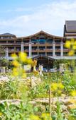 Туры в отель Skov River Resort