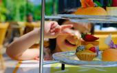 Туры в отель Skov River Resort