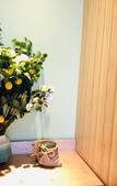 Туры в отель Skov River Resort