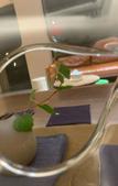 Туры в отель Anji Light Luxury Hotel
