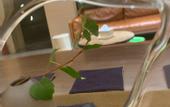 Туры в отель Anji Light Luxury Hotel