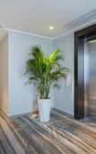 Туры в отель Magnotel