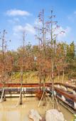 Туры в отель Grand New Century Nanshan Heyuan Hot Spring Resort