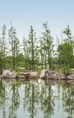 Туры в отель Grand New Century Nanshan Heyuan Hot Spring Resort