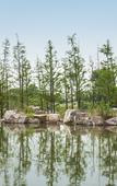 Туры в отель Grand New Century Nanshan Heyuan Hot Spring Resort