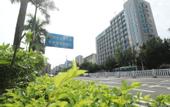 Туры в отель City Comfort Inn Hotel (Qingyuan City Government Shunying Times Square)