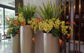 Туры в отель City Comfort Inn Hotel (Yichang East Railway Station)