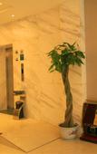 Туры в отель City Comfort Inn (Nanchang Shuanggang Metro Station Caida)