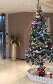 Туры в отель Queen Design Hotel (Qiandeng Lake Resort Guicheng Subway Station Branch)