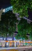 Туры в отель Guiyuan Hotel (Foshan Lingnan Tiandi Oriental Plaza Branch)