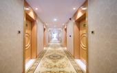 Туры в отель Vienna Hotel (Wuhan Hankou Railway Station Shiqiao Subway Station)