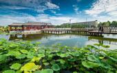 Туры в отель Pai Hotel (Zhengding Ancient City Shop)
