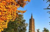 Туры в отель Pai Hotel (Zhengding Ancient City Shop)