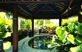 Туры в отель Daweishan Jinjiang Resort Hotel Yunnan