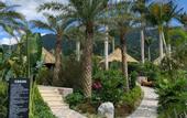 Туры в отель Daweishan Jinjiang Resort Hotel Yunnan