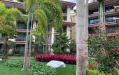 Туры в отель Daweishan Jinjiang Resort Hotel Yunnan