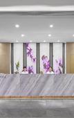 Туры в отель Lavande Hotel Shenzhen International Convention and Exhibition Center & Shajing Jingji Baina