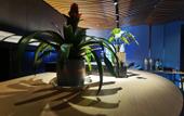 Туры в отель Holiday Inn Express GUIYANG IHG CENTURY CITY MALL by IHG