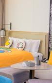 Туры в отель Crowne Plaza QIDONG by IHG