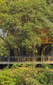 Туры в отель Guangzhou Shijian Xiangjing Qixidi Homestay