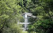 Туры в отель Guangzhou Shijian Xiangjing Qixidi Homestay